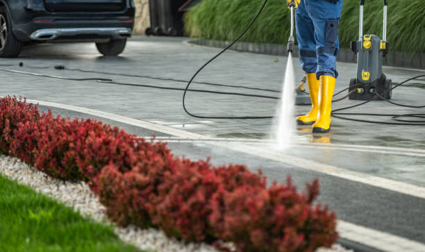 Best Soft Washing for Delicate Surfaces in Hewlett Harbor, NY
